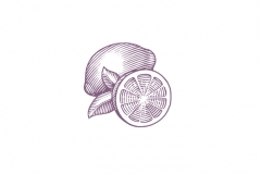 Lemon-art