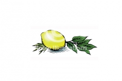 Lemon_Basil