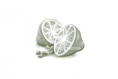 Lemons-amp-Capers-art