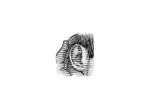 Listening