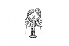 Lobster-art