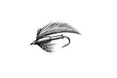 Lure