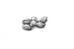 Malts-art