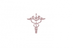 Medical-Staff