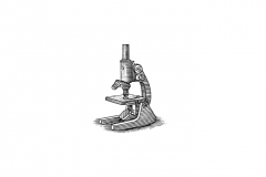 Microscope-art