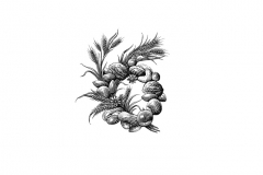 Mixed-Nuts-amp-Wheat-Stev