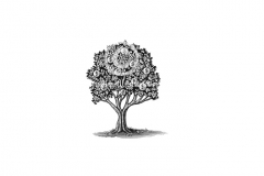 Money-tree-art