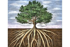 Oak-Tree-Roots