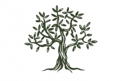 Olive-tree-_001