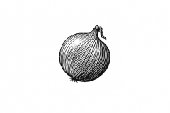 Onion-art