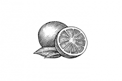 Oranges Icon
