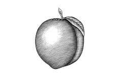 Peach Icon