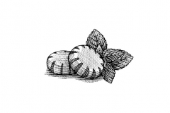 Peppermint-art-_002