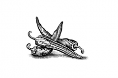 Peppers Woodcut