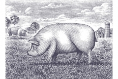 Pig Farm