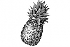 Pineapple-art-