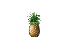 Pineapple_2