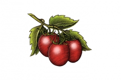 Plum-Tomatoes