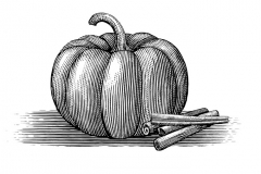 Pumpkin Cinnamon