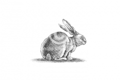 Rabbit-Art