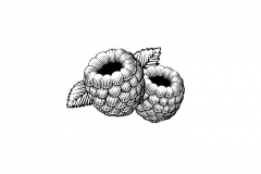 Raspberries-art-