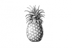 Revised-Pineapple-Art