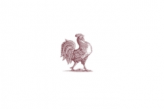 Rooster_Icon