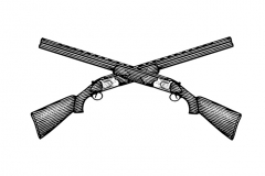Shot_Guns