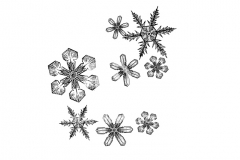 Snowflake-patterns