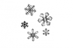 Snowflakes-comp
