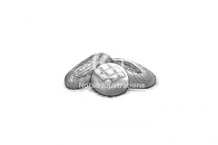 Sourdough-Breads