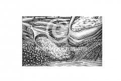 Soy-amp-Linseed-art