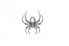 Spider-art
