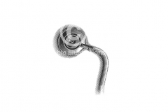 Stethescope_stock