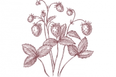 Strawberries-art
