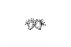 Strawberries_2