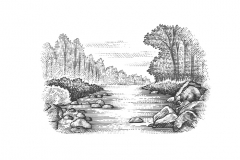 Stream