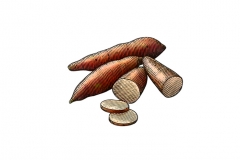 Sweet_Potatoes_Woodcut