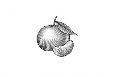 Tangerine-art-2