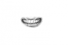 Teeth-Illustrations