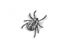 Tick-art