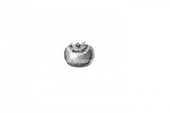 Tomato-001