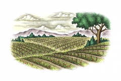 Tomato-fields-art-color