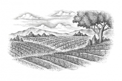 Tomato-fields-art