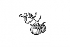Tomato-garlic-Art
