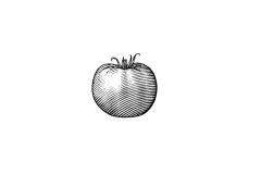Tomato_Woodcut