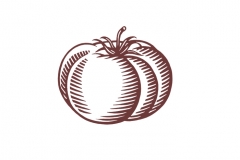 Tomato_Woodcut_001