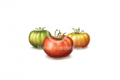 Tomatoes-woodcut