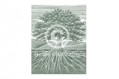 Tree-Image