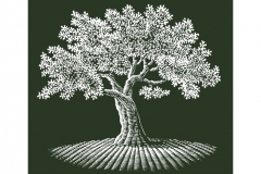 Tree Woodcut